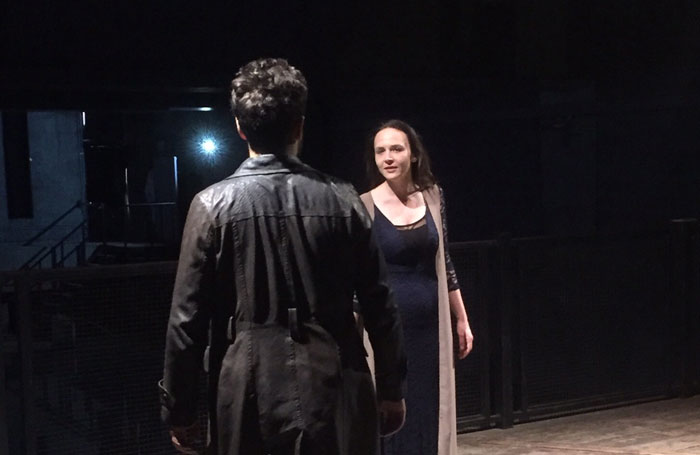 macbethbanksiderosejpg