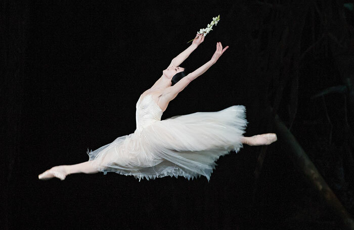 Natalia Osipova in the Royal Ballet's Giselle at the Royal Opera House. Photo: Tristram Kenton