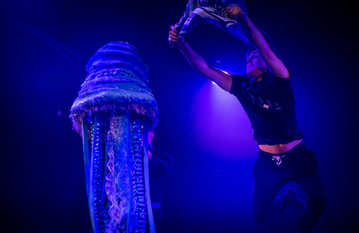 Jellyfish at Pleasance Courtyard, Edinburgh