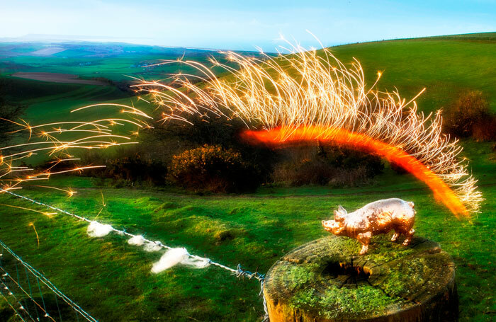 Hilltop installation And Now at Inside Out Dorset. Photo: Nick Read