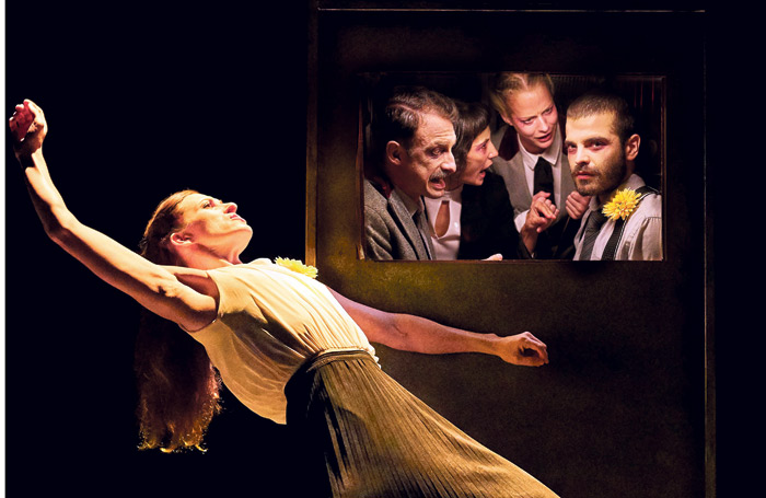 GeckoTHEWEDDINGRichardHaughton