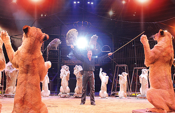 MartinLaceyjr22LoewenSitupWelt