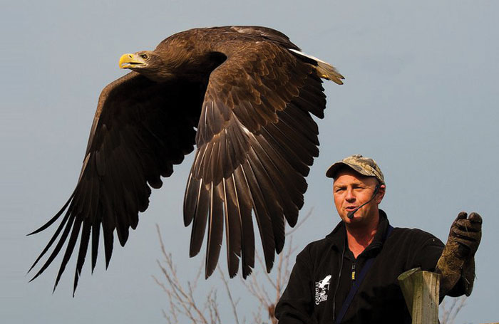 GrahamBessantTrevorDry1jpg