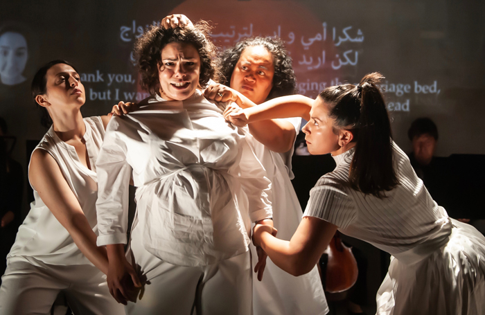 RuthlessJabiruSilkMothDirHeath