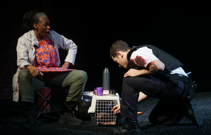 CanIHelpYouCreditBridieOSulliv