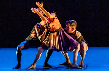 Dark times ahead for dance &ndash; the survivors may be the tough not the talented