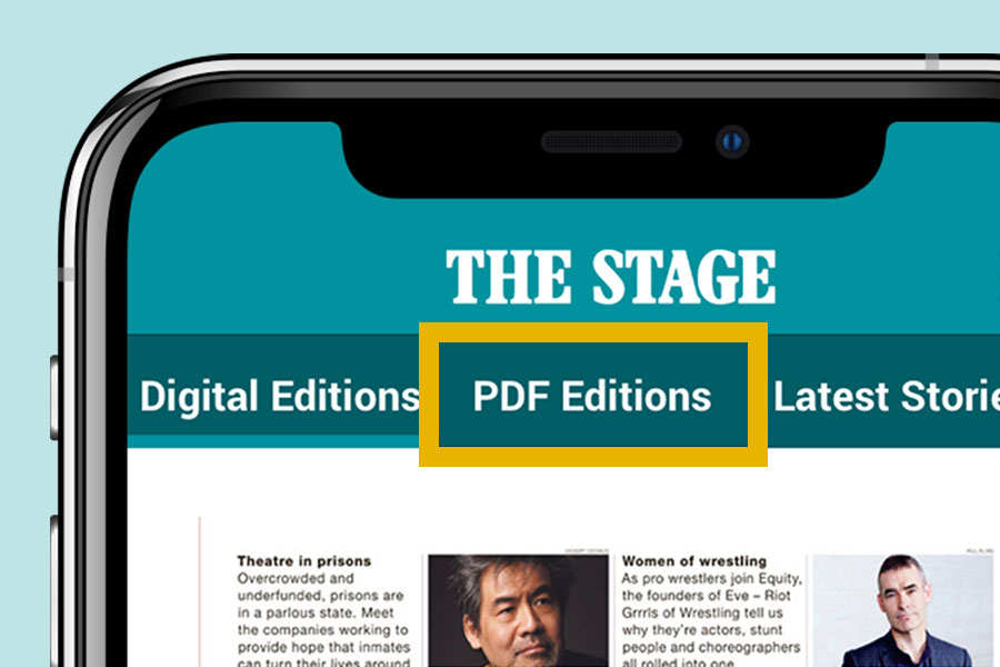 How do I view a Digital Edition as a PDF?