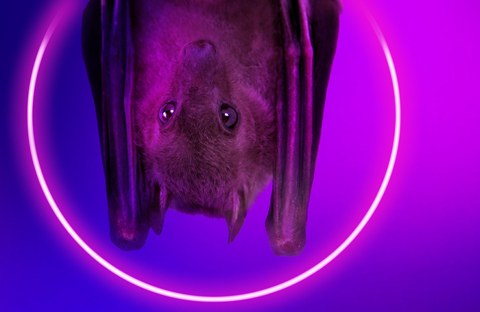 A Play for the living in a time of extinction artwork