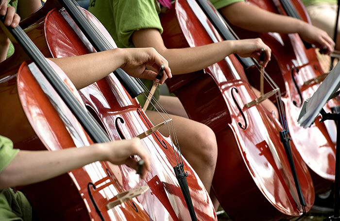 Many schoolchildren are drawn to learning an orchestral instrument, according to research done by the Royal Philharmonic Orchestra. Photo: Shutterstock