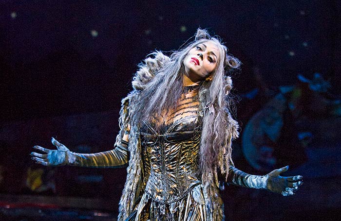 The now Olivier award-winning Nicole Scherzinger in the most recent UK production of Cameron Mackintosh's global hit Cats (2014). Photo: Tristram Kenton