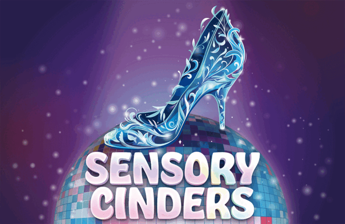 Sensory Cinders artwork