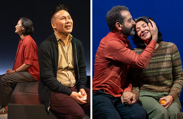 Rosalind Chao and BD Wong (left), and Tony Shalhoub and Shoreh Aghdashloo (right) in What Became of Us Atlantic Stage 2. Photo: Ahron R Foster Rosalind Chao and BD Wong (left), and Tony Shalhoub and Shoreh Aghdashloo (right) in What Became of Us Atlantic Stage 2. Photo: Ahron R Foster