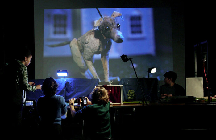 The cast of Bark Bark at Summerhall, Edinburgh The cast of Bark Bark at Summerhall, Edinburgh
