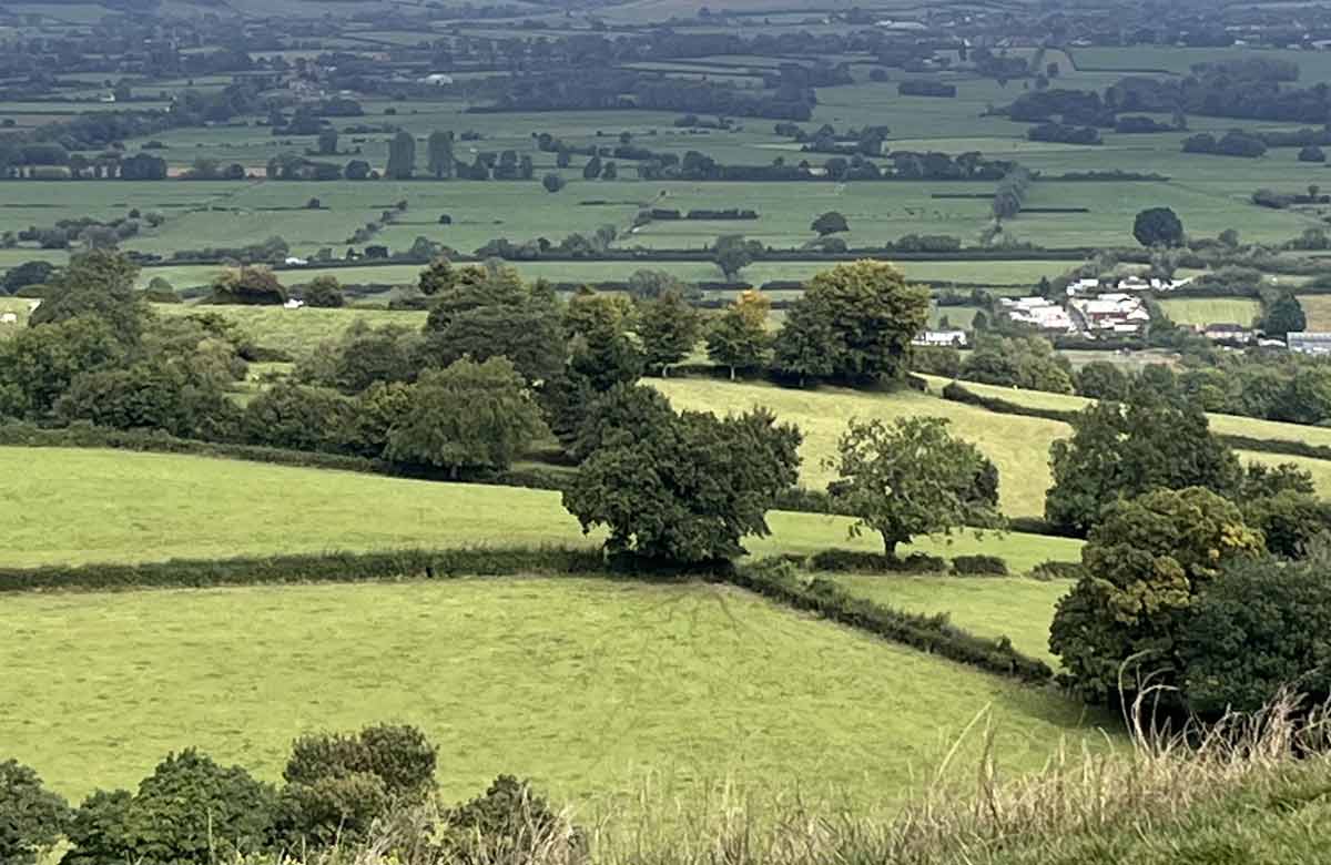 Glastonbury is a prime example of a festival that benefits from having the occasional fallow year. Photo: Shutterstock