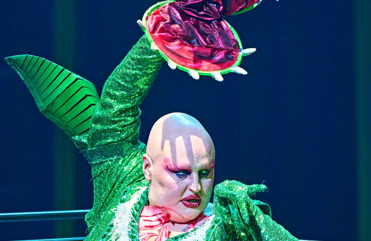 Sam Buttery in Little Shop of Horrors at Crucible Theatre, Sheffield. Photo: Manuel Harlan Sam Buttery in Little Shop of Horrors at Crucible Theatre, Sheffield. Photo: Manuel Harlan