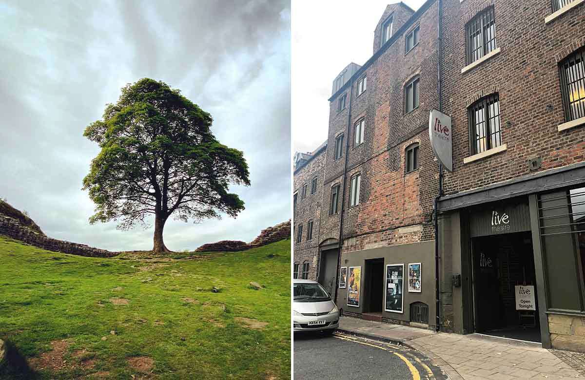 The now-felled Sycamore Gap tree and Live Theatre, Newcastle. Photos: Shutterstock