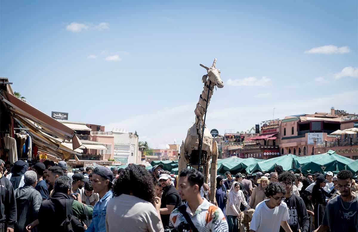 A puppet from The Herds project makes its way through the Marrakesh Medina, Morocco. Photo: Oussama Oulhiq A puppet from The Herds project makes its way through the Marrakesh Medina, Morocco. Photo: Oussama Oulhiq
