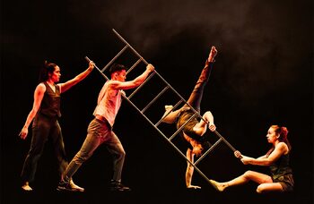 Circus school hosts fundraiser at &lsquo;critical&rsquo; point for training