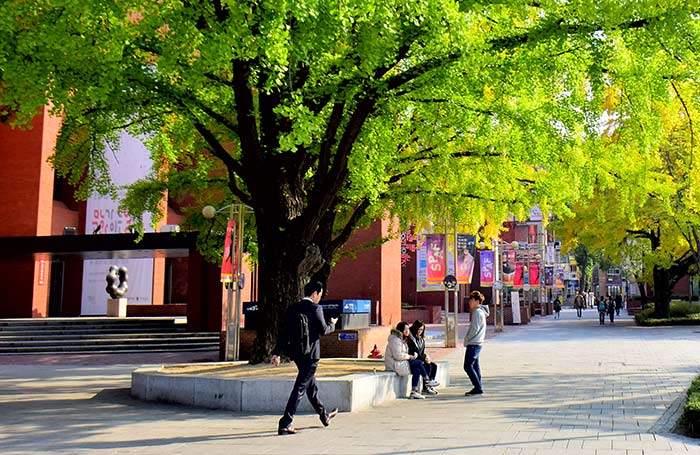 Marronnier Park in Seoul's cultural district of Daehangno. Photo: Shutterstock