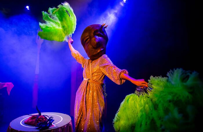 Ruxy Cantir in Pickled Republic at Summerhall, Edinburgh. Photo: Andy Catlin