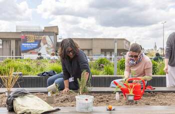 National Theatre commits to using home-grown natural dye in sustainability push