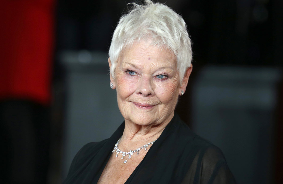 Judi Dench has back the appeal to appeal to protect the Mill at Sonning&rsquo;s heritage. Photo: Shutterstock