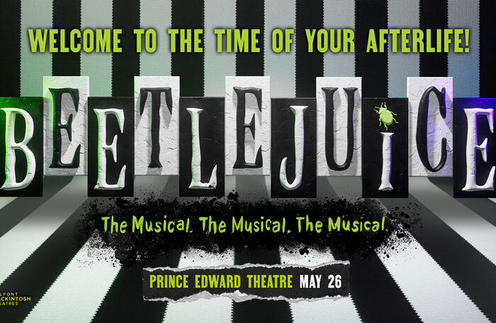 Artwork for Beetlejuice