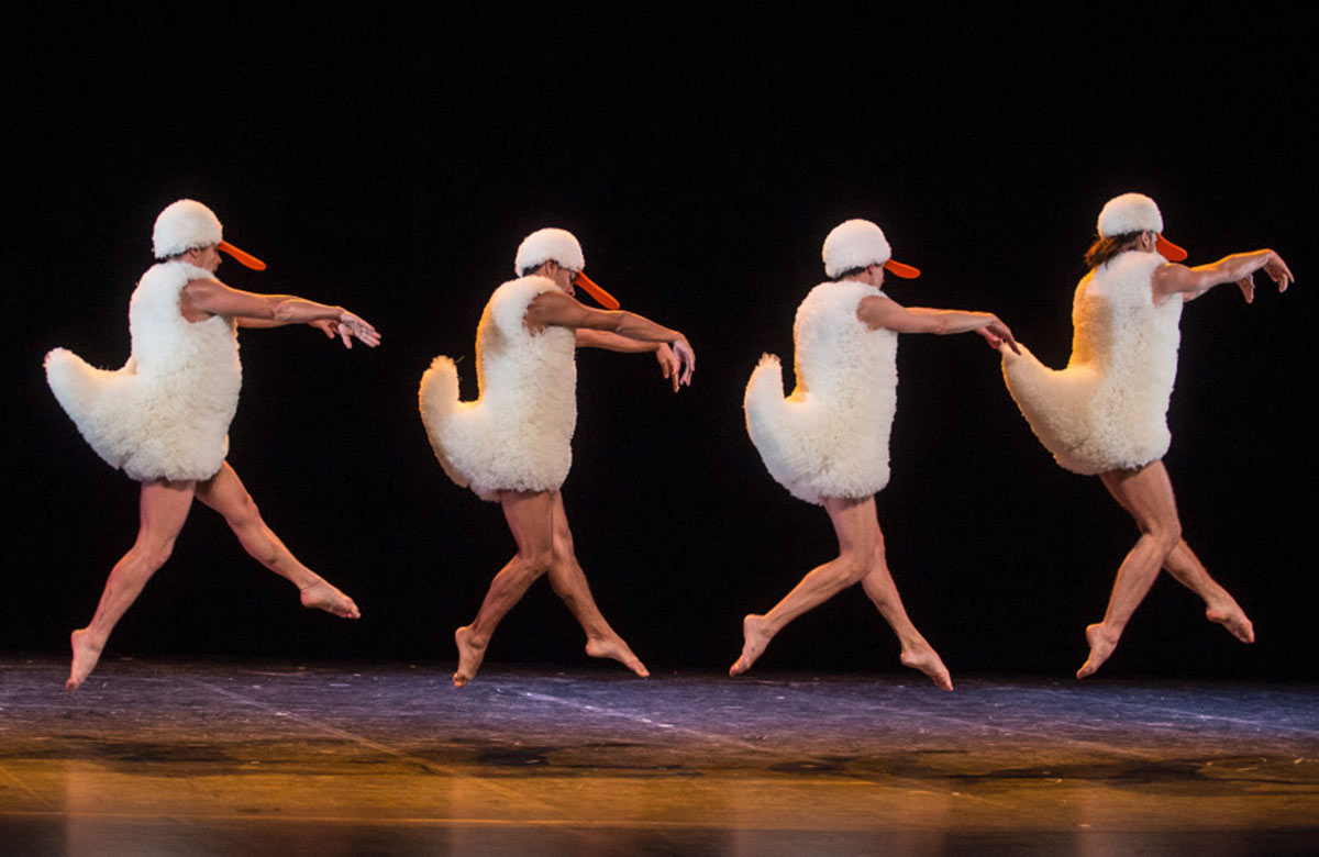 The cast of Chicos Mambo: Tutu at Sadler's Wells East, London. Photo: Michel Cavalca