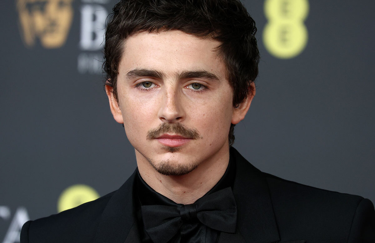 Timoth&eacute;e Chalamet. Photo: Shutterstock
