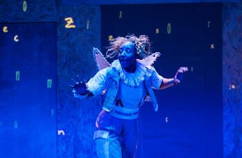 A Midsummer Night&rsquo;s Dream review