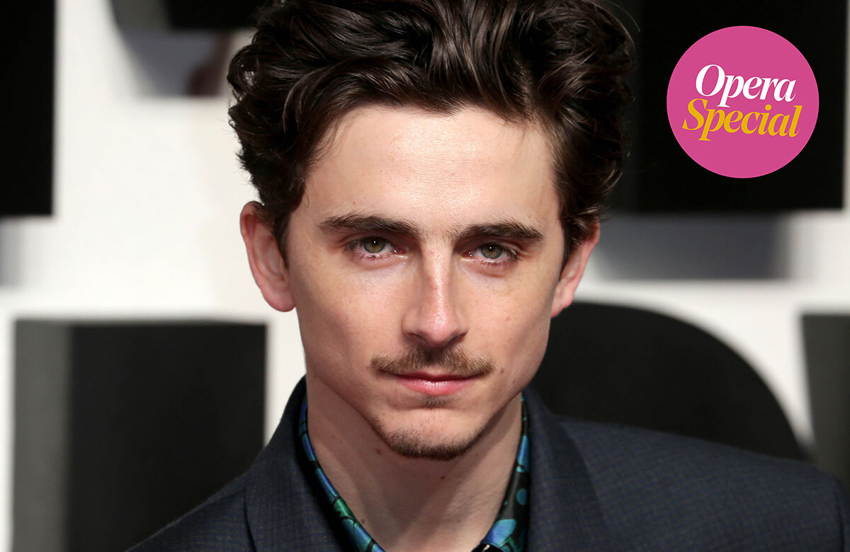Timothee Chalamet. Photo: Fred Duval/Shutterstock