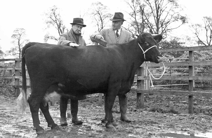 Looking back to 1951: how The Archers came to rule radio