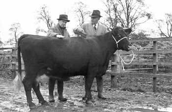 Looking back to 1951: how The Archers came to rule radio