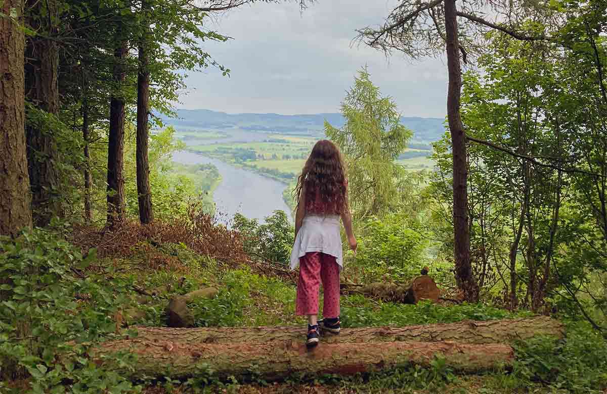 The Only Way Out Is In at Pitlochry Festival Theatre. Photo: StudioSpaceArt